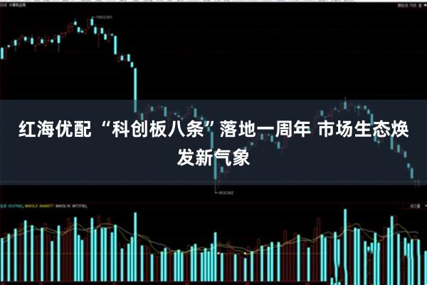 红海优配 “科创板八条”落地一周年 市场生态焕发新气象