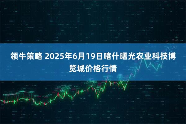 领牛策略 2025年6月19日喀什曙光农业科技博览城价格行情