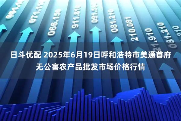 日斗优配 2025年6月19日呼和浩特市美通首府无公害农产品批发市场价格行情