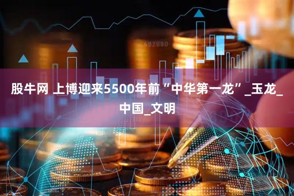 股牛网 上博迎来5500年前“中华第一龙”_玉龙_中国_文明