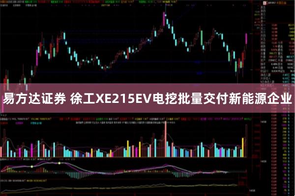 易方达证券 徐工XE215EV电挖批量交付新能源企业