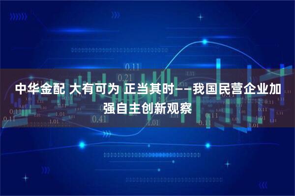 中华金配 大有可为 正当其时——我国民营企业加强自主创新观察