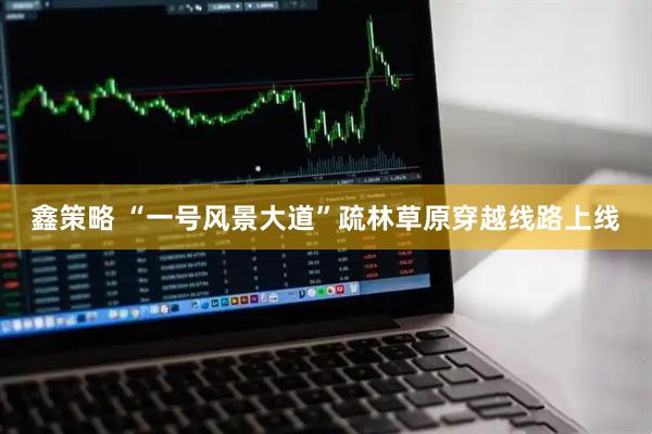 鑫策略 “一号风景大道”疏林草原穿越线路上线