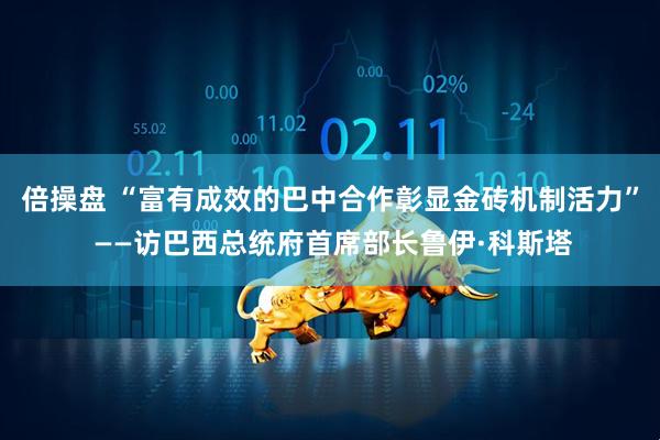 倍操盘 “富有成效的巴中合作彰显金砖机制活力” ——访巴西总统府首席部长鲁伊·科斯塔