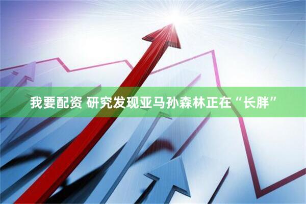 我要配资 研究发现亚马孙森林正在“长胖”