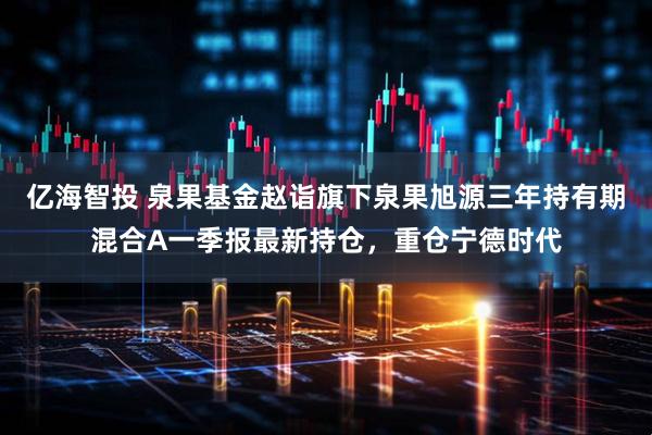 亿海智投 泉果基金赵诣旗下泉果旭源三年持有期混合A一季报最新持仓，重仓宁德时代