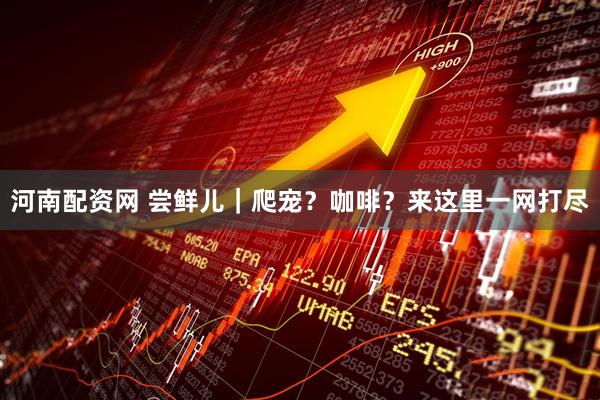 河南配资网 尝鲜儿｜爬宠？咖啡？来这里一网打尽